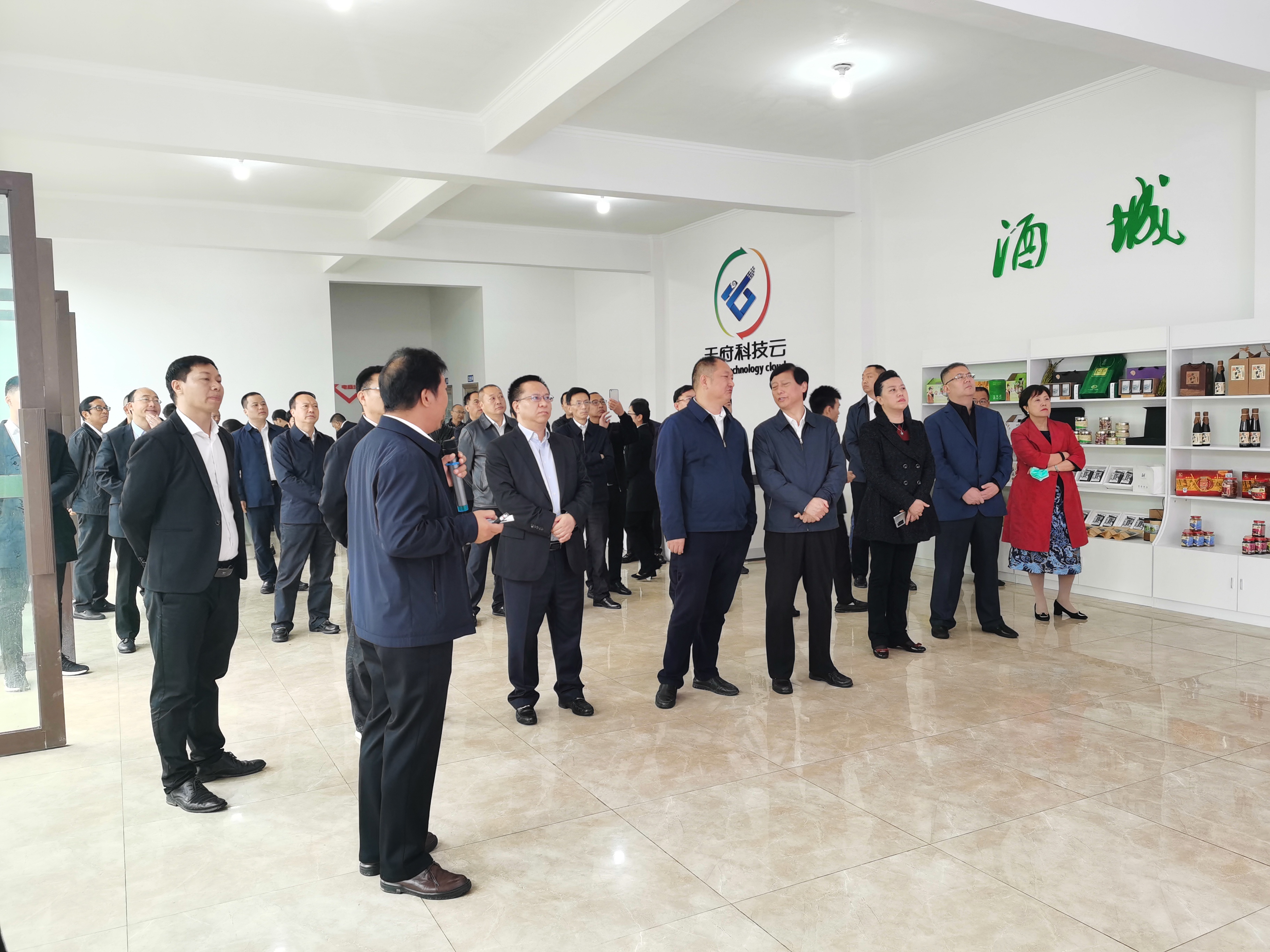 合江荔枝基地水肥一体化项目